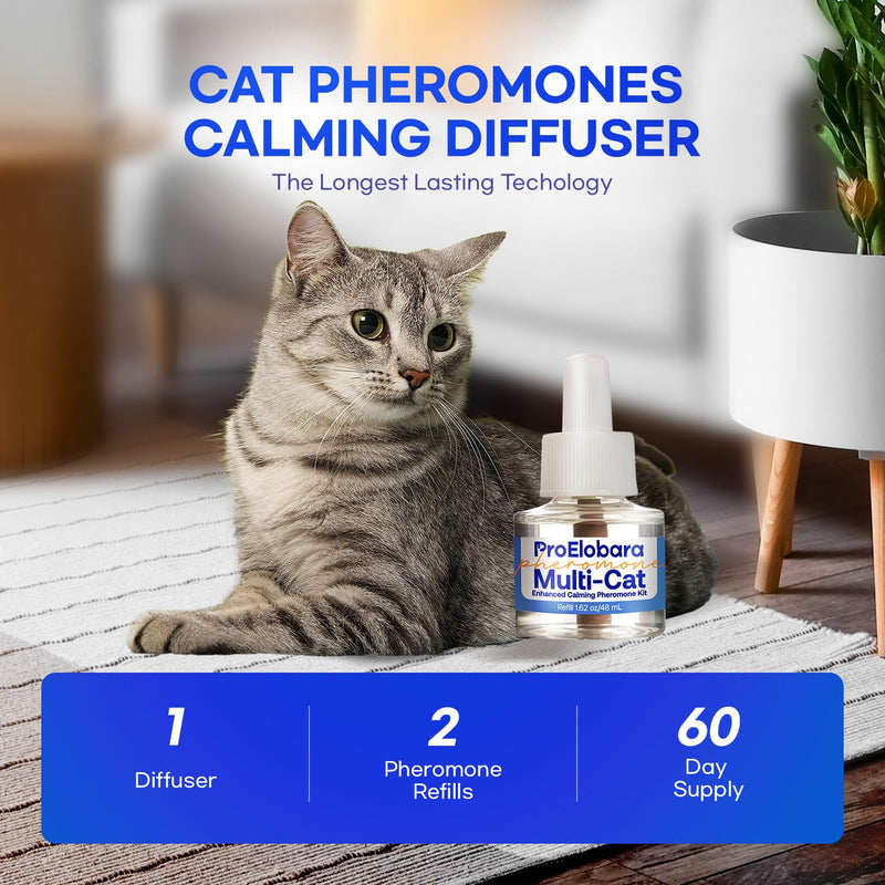 Cat Calming Pheromone Anxiety Diffuser: Soothing Multicat Calming Pheromones Diffusers - Relaxing Cat Calm Pheromone Diffuser for Cats Stress Relief - Cats Anti Anxiety Calm Diffusers 60-Day Supply blue