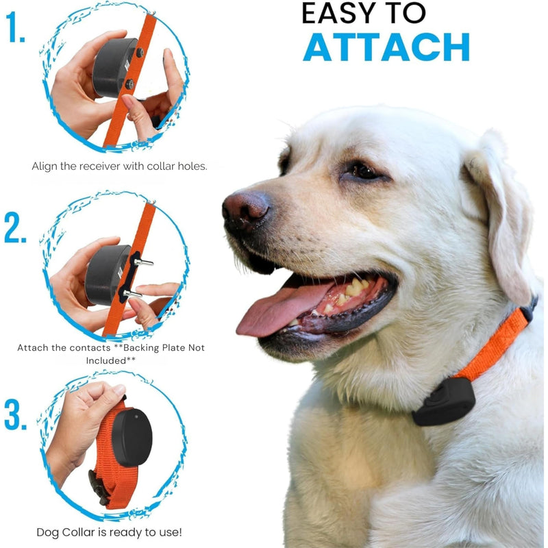 3/4" ECollar Replacement Strap, Shock Collar Replacement Collar, Compatible with Pet Safe, Invisible Fence (3/4" Pink) 3/4" - PawsPlanet Australia