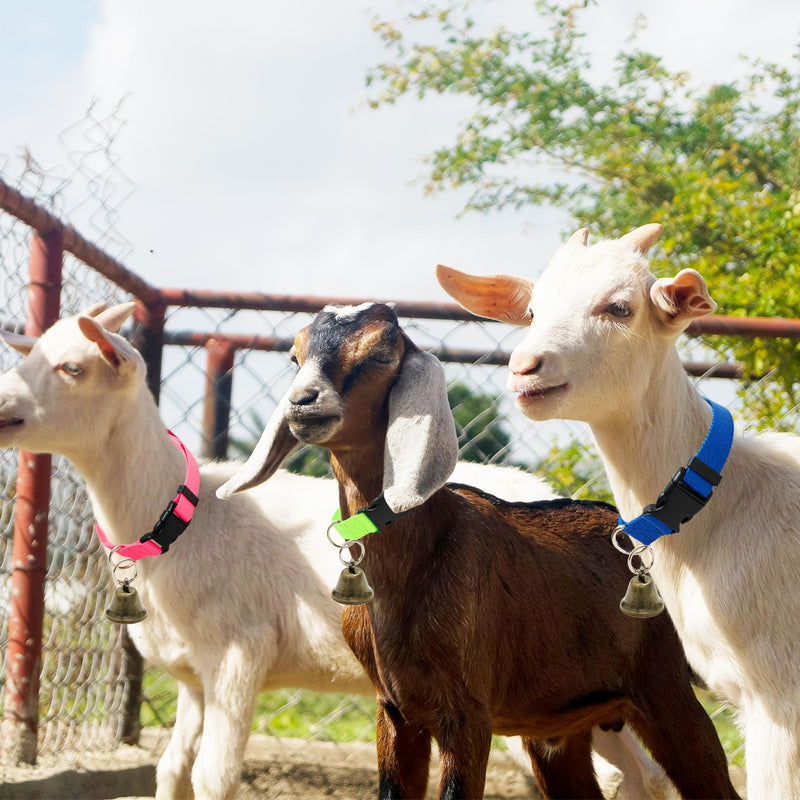 3 Pack Goat Collars with Bells, Adjustable Pet Collar & Anti-Lost Loud Bronze Grazing Copper Bells Accessories for Small Farm Animal Sheep Cow Goat (Neck 13.8"-20.9") - PawsPlanet Australia