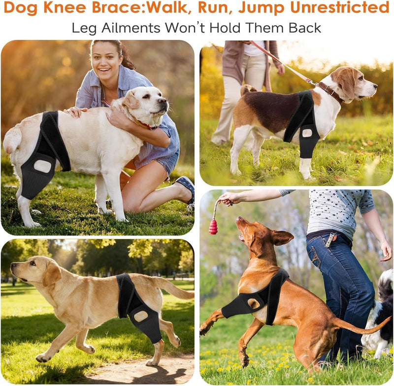 Knee Brace for Dogs for Torn ACL/CCL & Hind Leg Support, for Knee Cap Dislocation, Arthritis - Keeps The Joint Warm and Stable - Extra Support - Reduces Pain and Inflammation (L) L