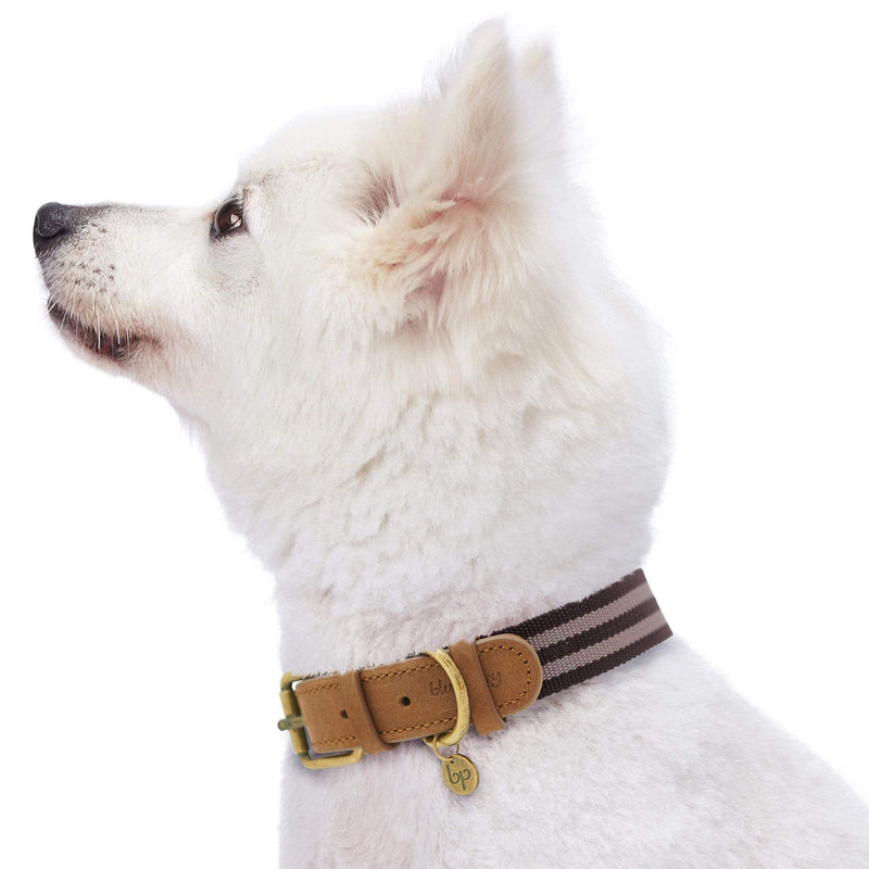 Blueberry Pet Soft & Comfy Genuine Full Grain Leather & Polyester Combo Adjustable Dog Collar - Classic Staple Striped in Chocolate and Taupe, Medium, Neck 15"-18" 1" Wide * (15"-18") Neck (Pack of 1) Leather & Polyester - Chocolate & Taupe - PawsPlanet Australia