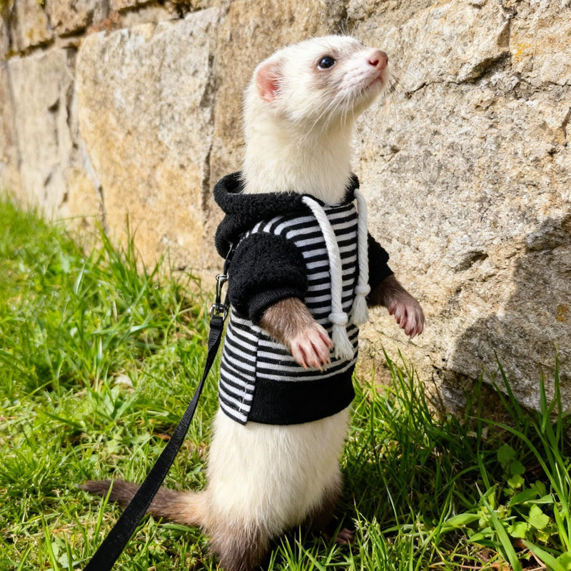 Ferret Harness and Leash Set Ferret Clothes Small Animals Harness Hoodies for Ferrets and Other Small Pet Accessories (Black White) black white