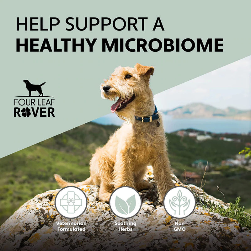 Yeast Guard - Dog Gut Health Probiotics Support Powder - Organic Herbs for Flora and Immune Support - 7 to 60 Day Supply, Depending on Dog’s Weight - Vet Formulated - for All Breeds - PawsPlanet Australia