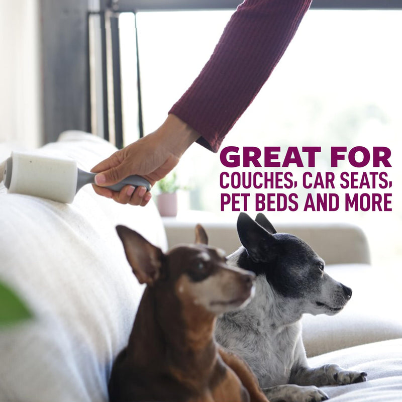 Scotch-Brite Pet Hair Pickup Extra Sticky Large Lint Roller, Designed for Removing Fur + Fluff on Couches, Clothes, Dog and Cat Beds, & More, 1 Pack, 60 Easy-Tear Adhesive Sheets Total 1 Roller, 60 sheets - PawsPlanet Australia