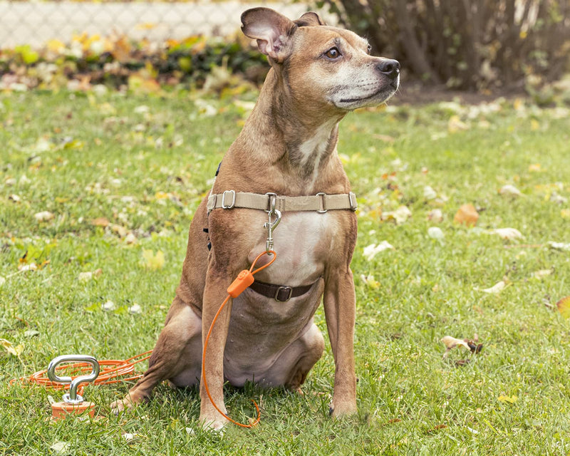 40FT Tie-Out Cables for Dogs - Strong, Safe, and Durable Dog Tie-Outs for Small Dogs up to 10 Pounds - Weather and Wear Resistant Galvanized Aircraft Cable for Outside Use 10 lb / 40 ft