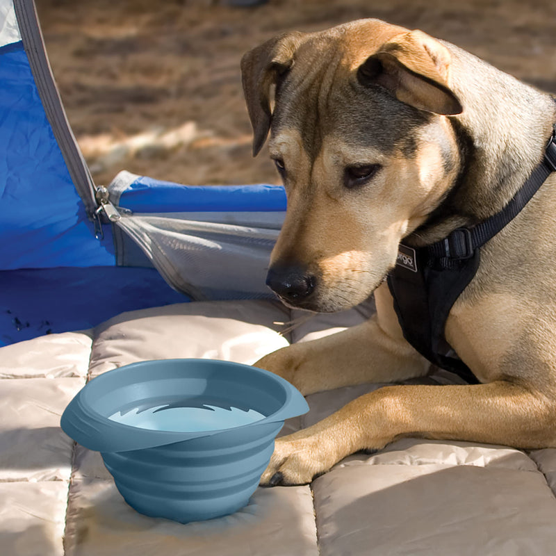 Collapsible Travel Dog Bowl, Pet Food & Hiking Water Bowl, Food Grade Silic1 Bowl for Dogs, Travel Accessories for Pets, BPA Free, Carabiner, Collaps a Bowl, Mash n’ Stash, Zippy Bowl (New Version) Regular Kurgo Blue