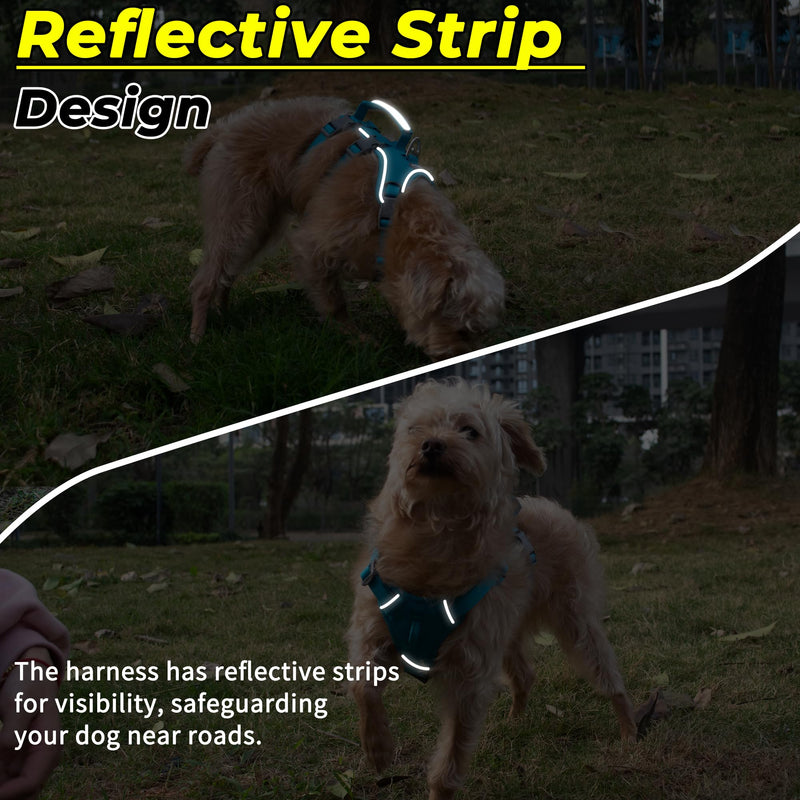 Escape Proof Dog Harness and Leash Set, Lightweight Dog Harness with Lift and Assist Handle, No Pull Reflective Pet Vest for Small Medium Dogs, Ideal for Puppy Walking and Training (Blue, S) Blue (Harness+Leash)