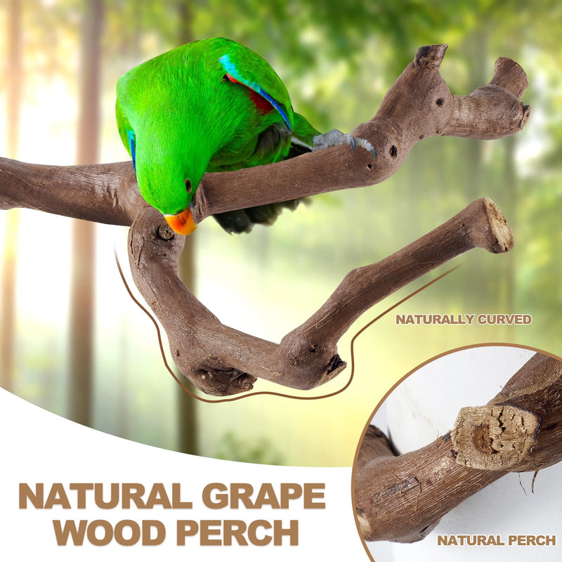 6-Piece Bird Perch Set - Natural Wood Grape Sticks, Paw Grinding Forks, Bird Stand & Toys for Parakeets, Cockatiels, Conure, Budgies - PawsPlanet Australia