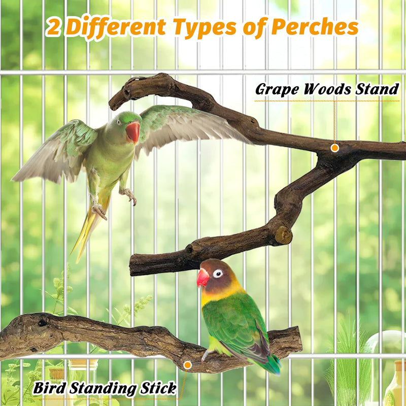kathson 5pcs Natural Parrot Perch for Cage Wooden Bird Perches Grape Bird Stick Parakeet Climbing Standing Branches Toy Chewable Cage Accessories for Small Budgies Cockatiels Lovebirds Budgies 5 PCS