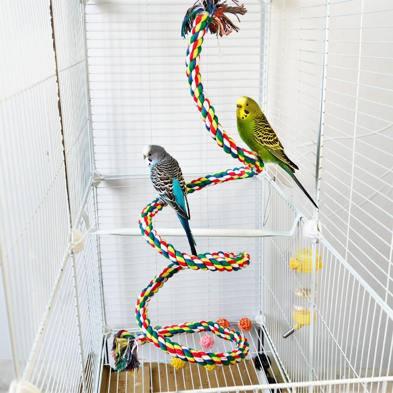Bird Rope Perch & Birds Swing Set - Bird cage Accessories, 40‘’ Rope perches for Conures, Parrots,Cockatiel,Lovebird,Budgerigar,Parakeet perches for cage,Birds perches multicolour swing - PawsPlanet Australia