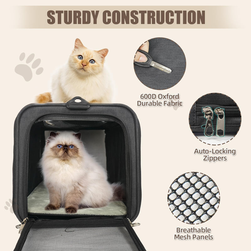 Cat Carrier American, United, Delta Airline Approved/Soft-Sided Pet Travel Bag for Medium Cat 15+ lbs Small Dog Traveling Crate Under 15 Pounds TSA Approved Carrying Cage Underseat Cabin Black - PawsPlanet Australia