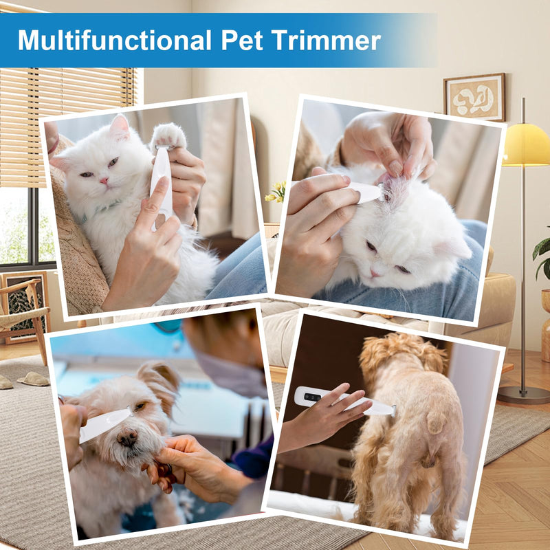 Dog Trimmer, Electric Dog Hair Trimmer with LED Light and LED Display, 18 Mm Widen Blade Pet for Small Dogs Paws Ears Face Rump, Waterproof Rechargeable - PawsPlanet Australia
