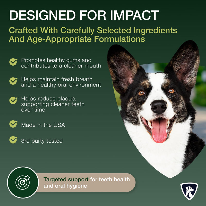 Nutraregen Senior Dog Dental Powder 30 Scoops | Beef Flavored Dog Breath Freshener with Probiotic Blend for Oral & Gum Health | Pet Dental Powder Helps Manage Plaque & Tartar Buildup | 4.6 Oz - PawsPlanet Australia
