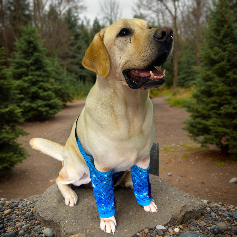 Dog Elbow Wraps Knee Protector Pads Elbow Callus Treatment Sleeve for Wounds Front Legs Prevent Licking for Medium Large Dogs 3XL, Mermaid