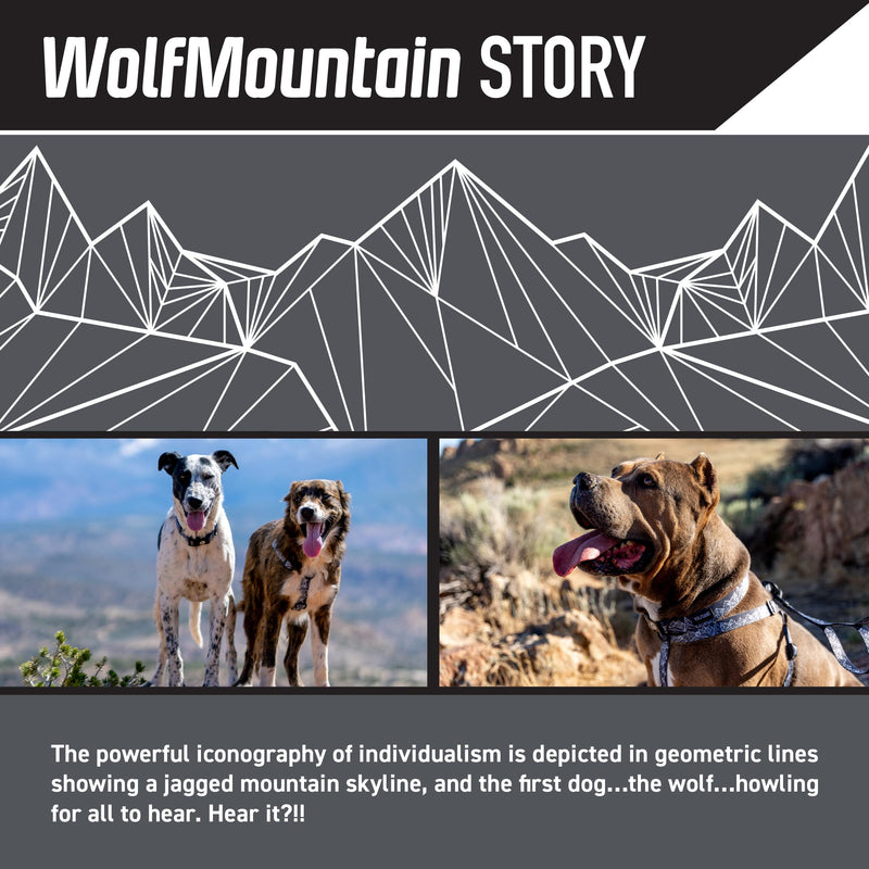 Wolfgang Heavy Duty Dog Leash, Pull-Tested to Over 800 lbs for Walking & Training, WolfMountain Print, Large - PawsPlanet Australia