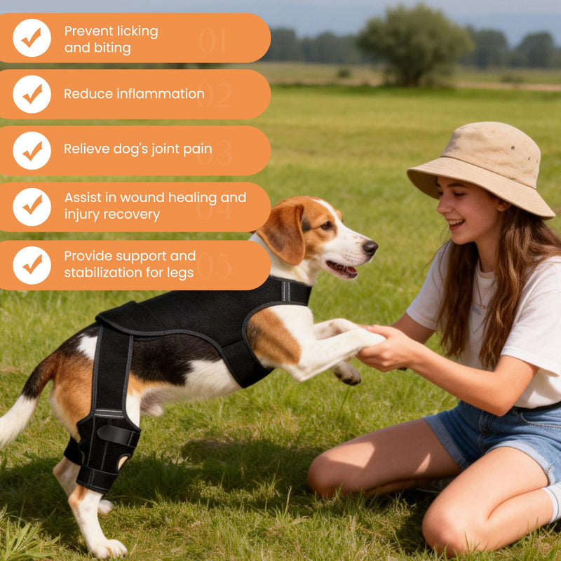 Dog Knee Brace for Torn Acl Hind Leg - Dog Back Legs Supports with 2 Stabilizers to Reduces Pain for CCL Injury, Hip Dysplasia & Joint Pain Relief, Adjustable Soft Breathable Leg Braces, M