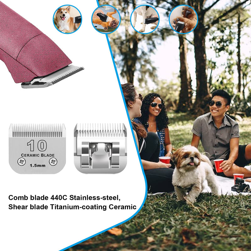 3 Pack 10# Detachable Pet Dog Grooming Ceramic Blades,Compatible with Andis,Oster A5,Wahl KM-10 Series,Size #10 Blade 1/16-Inch 1.5MM Cut Length 3pc 10:1/16''(1.5mm) - PawsPlanet Australia