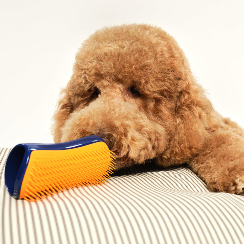 Pet Teezer Detangling Dog Grooming Brush, Dog Bath Brush for Long Haired Breeds and Wet or Dry Fur, Large, Navy & Orange Large Detangling