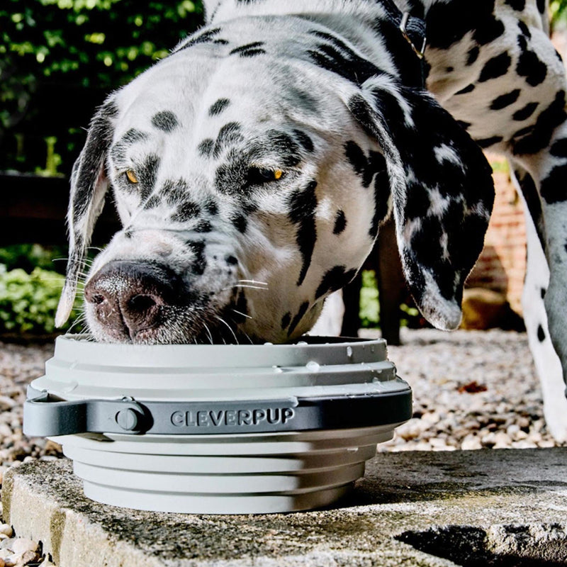 Nomad Collapsible Dog Bowl - Large, 4 Cup Food-Safe Silicone Travel Bowl for Dogs, Portable & Sturdy, Food/Water, Dishwasher Safe - Grey - PawsPlanet Australia