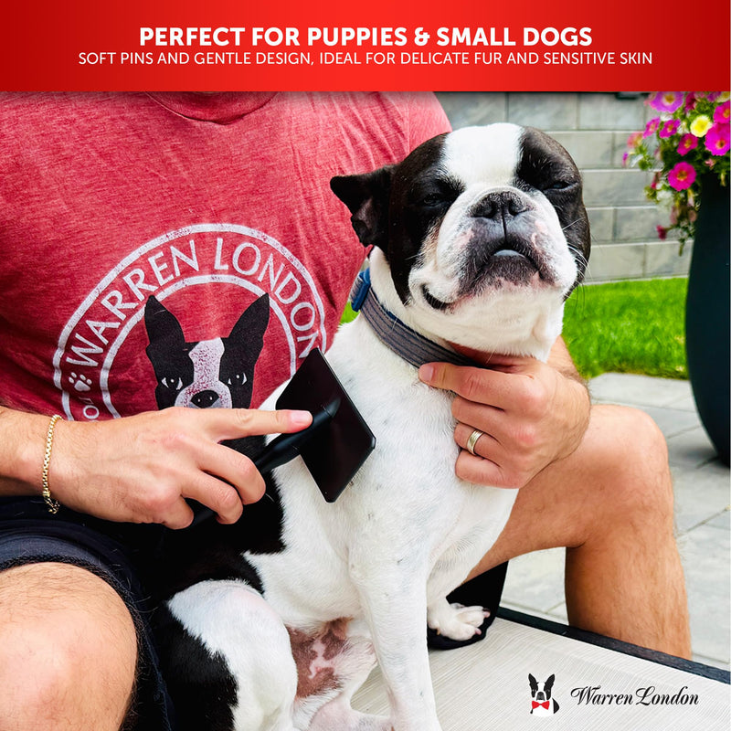 Warren London Gentle Touch Slicker Brush for Puppies & Small Dogs – 4" x 2" Soft Pin Grooming Brush – Tangle Remover for Sensitive Skin – Compact, Lightweight & Easy to Use Gentle Touch Puppy Brush Small - PawsPlanet Australia