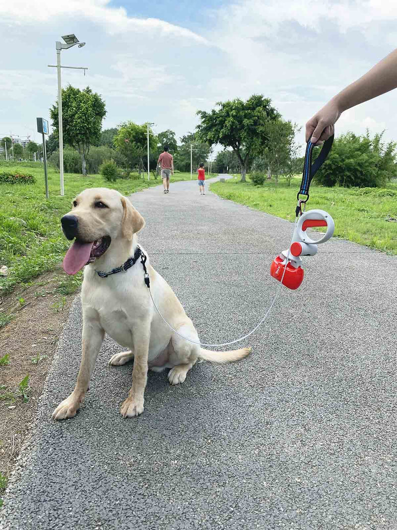 Chew Proof Dog Leash, 5 ft Steel Cable Lead with Reflective Soft Padded Handle, Waterproof Cable - Black - PawsPlanet Australia