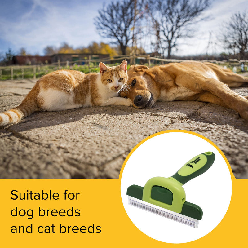 Professional De-shedding Tool and Pet Grooming Brush, D-Shedz for Breeds of Dogs, Cats with Short or Long Hair, Small, Medium and Large (Green) Green