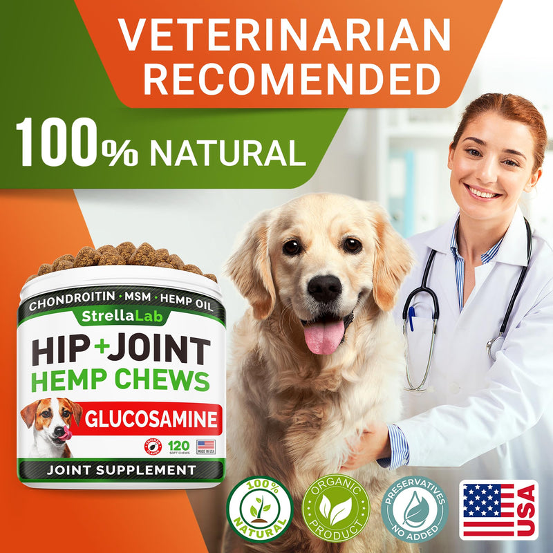 Hemp Treats - Glucosamine Dog Joint Supplement + Omega 3 - w/Hemp Oil - Chondroitin, MSM - Advanced Mobility Chews - Joint Pain Relief - Hip & Joint Care - Chicken Flavor - 120 Ct - Made in USA 120Ct (Chicken) (HIP&JOINT) Hemp Chews