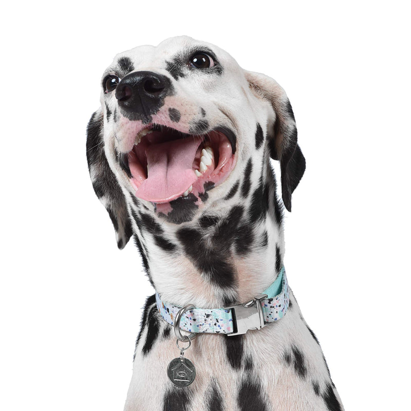 Now House for Pets by Jonathan Adler Mint Terrazzo Collar, Medium | Stylish and Fashionable Way to Keep Your Dog Looking Great | Cute and Adorable Dog Accessories for Pets - PawsPlanet Australia