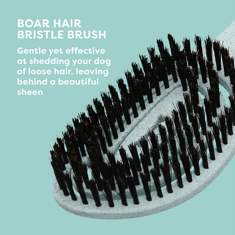 BioSilk for Dogs Eco-Friendly Boar Hair Bristle Brush in Mint Green | Easy to Hold Ergonomic Handle Dog Brush for Shedding | Best Pet Brush for Dog Grooming Blue 1 Count - PawsPlanet Australia
