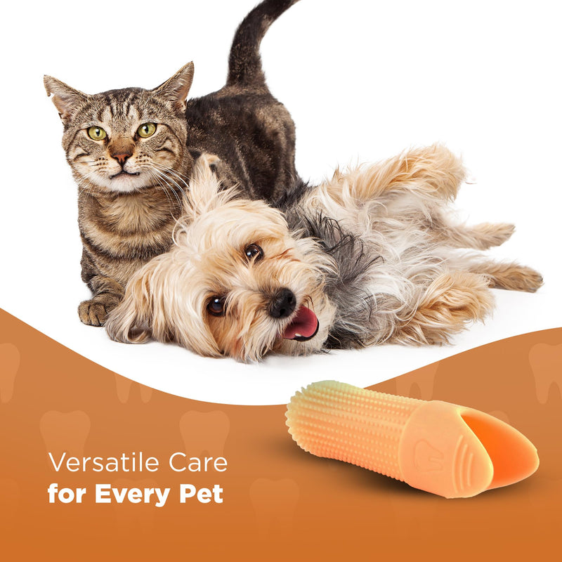 Jack & Milo 2-Pack Soft Silicone Pet Toothbrush – Gentle Finger Toothbrush for Small Dogs, Puppies & Cats – Safe Oral Care for Baby Pets – Promotes Healthy Teeth & Gums – Orange & Blue Orange/Blue