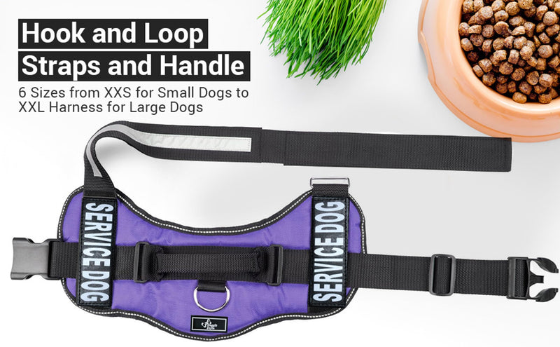 Doggie Stylz Service Dog Harness - Durable & Reflective, Adjustable for Dogs XXS to Large Sizes - Comfortable Working Dog Vest Girth 12-16" Black - PawsPlanet Australia