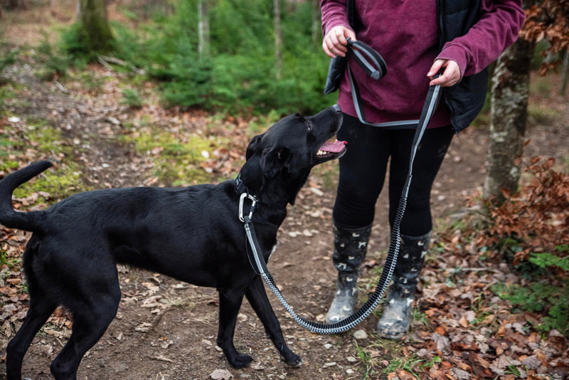 Mountain Paws Running Dog Lead | Hand-held Or Waist Mounted With Soft Grip Neoprene Handle, 1.4 Metres - PawsPlanet Australia