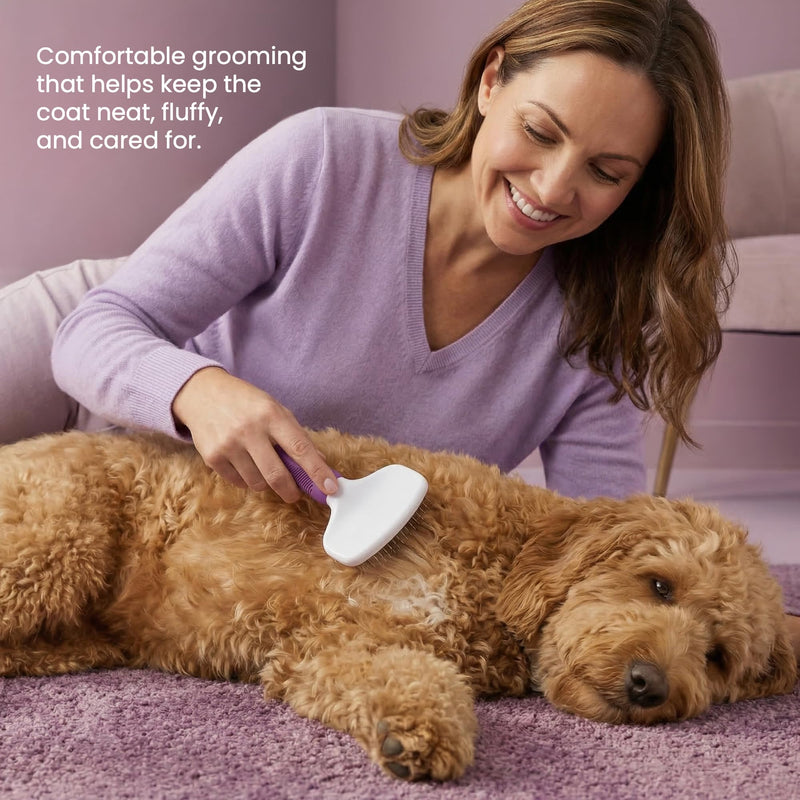 Poodle Pet Slicker Brush - Effortlessly Removes Tangles, Mats & Loose Hair | For Short or Long Hair | Purple