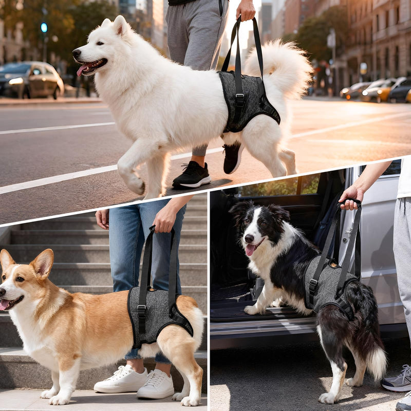 Dog Lifting Harness for Back Legs, Walking Assistance Rehabilitation Harness with Padded Handle Adjustable Support Sling Hind Leg Brace, Mobility Aid for Injured, Disabled, Elderly Dogs M