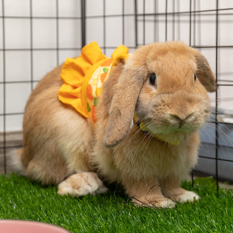 Rabbit Harness and Leash for Walking Escape Proof - Cute Carrot Pattern Mesh Breathable Bunny Vest Harness Outdoor Camping Hiking Training - Also Suit for Ferret Kitten Puppy Small Animals M (neck:6.3"-7.8" chest:7.8"-12.6") Yellow - PawsPlanet Australia