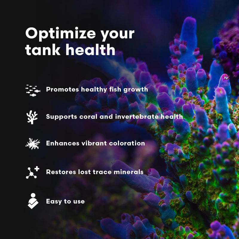 Brightwell Aquatics Rēplenish – Premium Trace & Minor Element Supplement for Marine Aquariums, Supports Healthy Fish, Corals, and Invertebrates, 250 ml 250-ml - PawsPlanet Australia