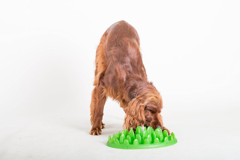 Green Interactive Feeder Mini - PawsPlanet Australia
