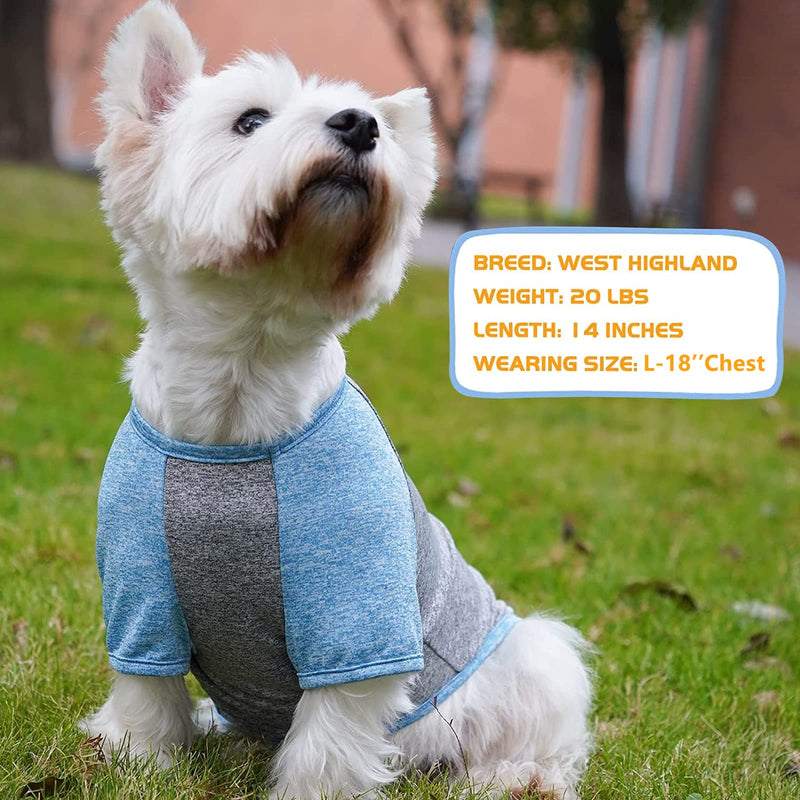 KYEESE 2Pack Dog Shirt with Sleeves, Lightweight Sun Protection Dog T Shirts for Small Dogs Boy, Breathable Pet Tank Top Reflective Dogs Clothes for Summer Outdoor Walking, Blue+Grey, M Medium (7-13lbs) 1# 2Pack(Blue+Grey) - PawsPlanet Australia