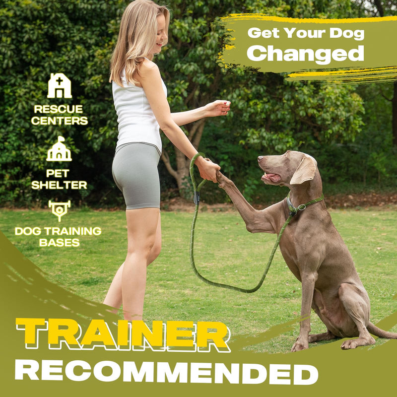 Fida Durable Slip Lead Dog Leash Bulk Pack of 5, Heavy Duty 1/2" x 6 FT Comfortable Strong Rope Slip Lead for Large, Medium & Small Dogs No Pulling Pet Training Leash with Highly Reflective (Mixed) Large(1/2"-6ft-pack of 5) Mixed Color - PawsPlanet Australia