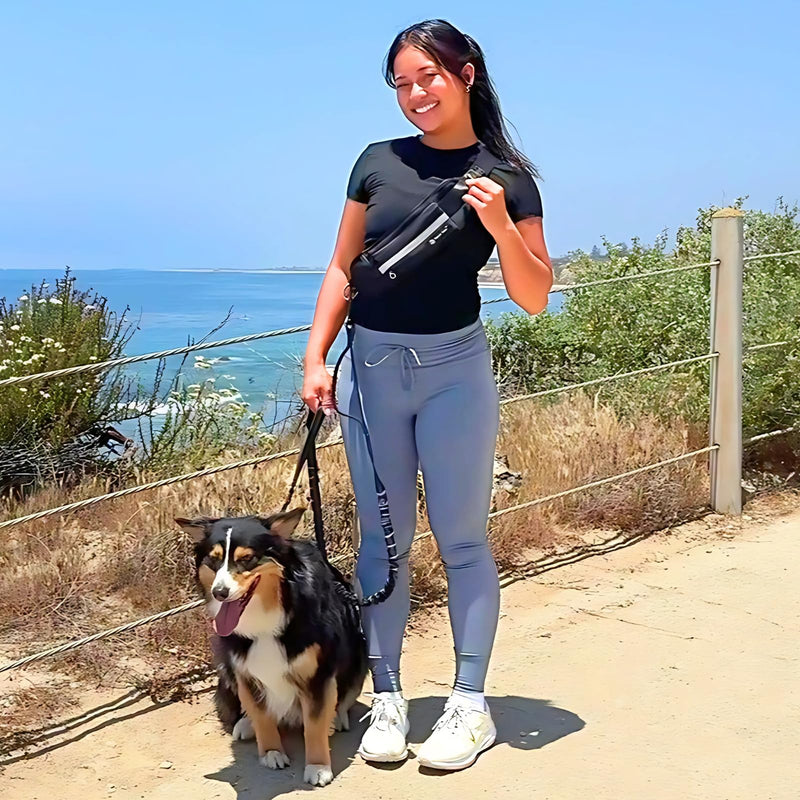 Tails & Tales Hands Free Waist Leash for Dog Walking Running Hiking with Zipper Pouch, Adjustable Belt, Dual Padded Handles, Reflective Bungee Design for Small to Large 100lb Dogs (Black) Black - PawsPlanet Australia
