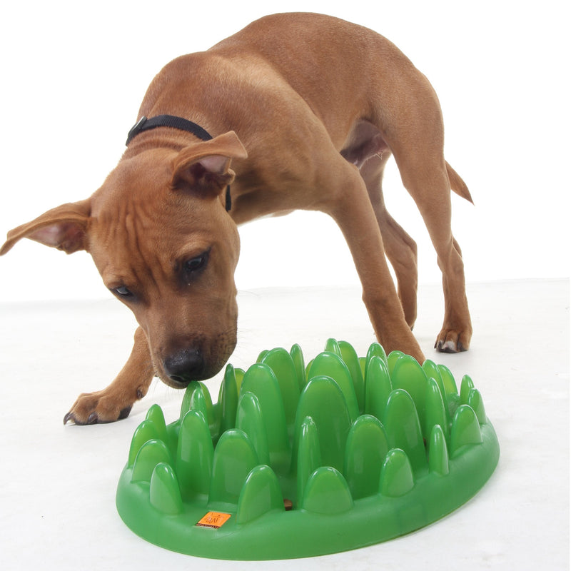 Green Interactive Feeder Mini - PawsPlanet Australia