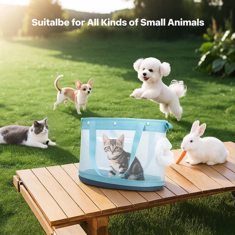 Dog Purse Carrier for Small Dogs Cat Kitty Puppy Rabbit Bunny Dog Cat Bag Carrier for Animals up to 22lbs Soft Sided Collapsible Pet Carrier Sling for Outing Travel Vet-Gray Gray - PawsPlanet Australia