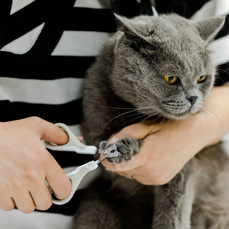 Mr. Pen Cat Nail Trimmer - Light Beige, Also Suitable for Kittens and Small Dogs - Cat Claw Trimmer - PawsPlanet Australia
