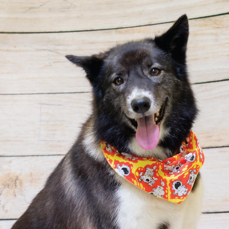 60 Assorted Doggie Tieback Dog Grooming Bandanas/Groomers Bulk Package… - PawsPlanet Australia