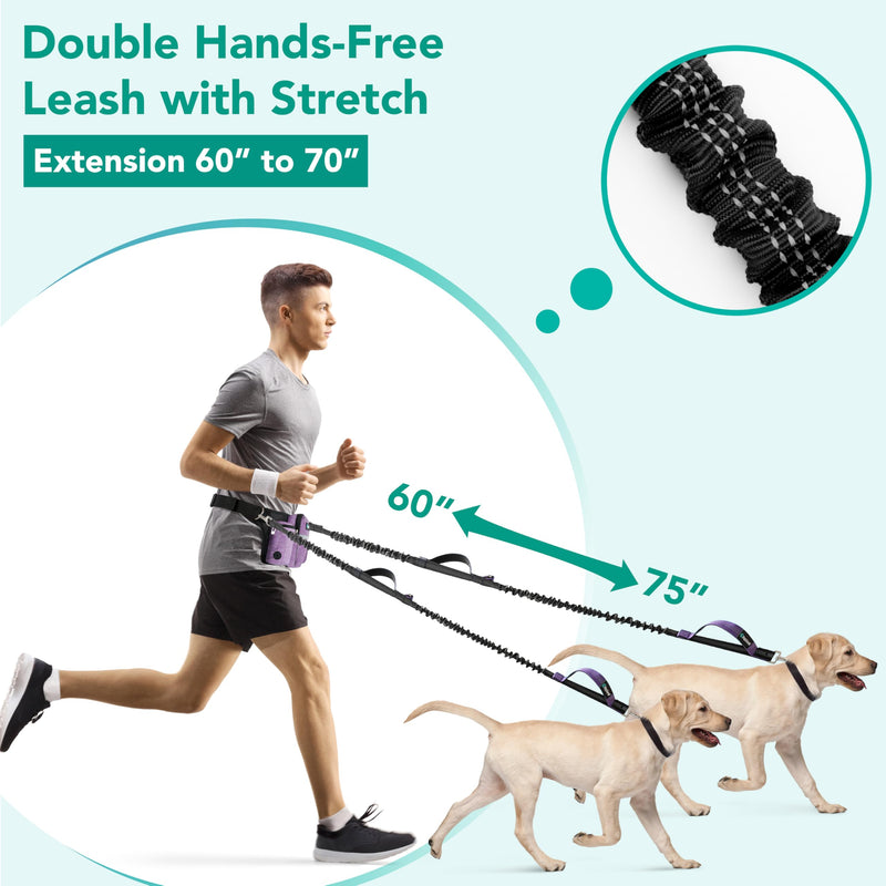 PetAmi Premium Hands Free Dog Leash for 2 Dogs, Adjustable Waist Belt Leash for Dog Walking, Fanny Pack Accessories Bag Dual Bungee Leash for Running, Hiking, Jogging, Biking, Purple 2 Leashes - PawsPlanet Australia