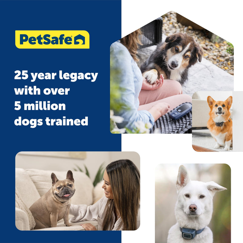 PetSafe Basic Dog Trainer with Remote - Effective Dog Training - 19 Levels of Static Correction - Waterproof Collar - Rechargeable Training Collar - Compact Remote Transmitter Basic Trainer - PawsPlanet Australia