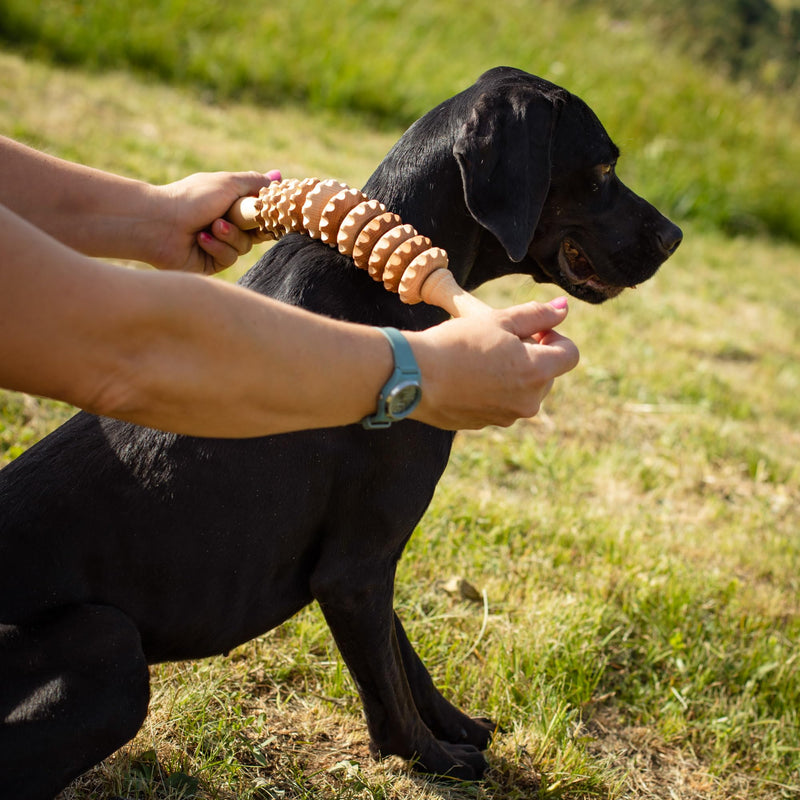 tuuli Wooden Massager Dog Cow Horse Massage Brush Pet Massage Brush