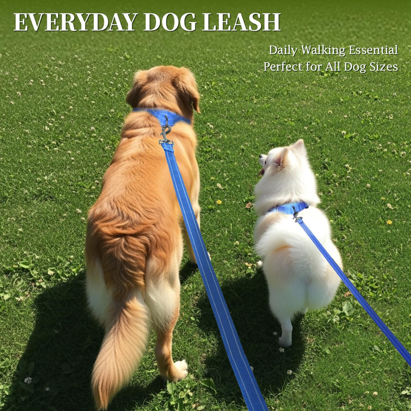 VIVAGLORY Dailyx Dog Leash, Puppy Leash for Training & Walking with Soft Padded Handle, Heavy Duty & Double Layer Nylon for Pet Puppy, 4ft x 1/2in, Blue 4 ft. x 1/2 in. (0~25 lbs.) - PawsPlanet Australia