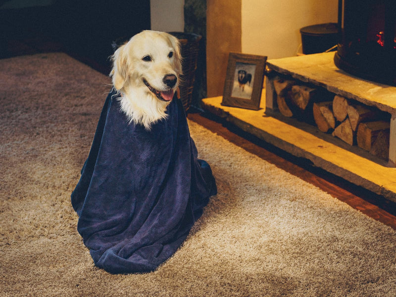 Lucky Paws® UK Dog Drying Bag - Luxurious Dog Towel Bag – Super Absorbent & Soft Dog Towels - Alternative for Dog Towelling Drying Coat - Dog Drying Towels - Perfect for Dog Grooming (S, French Navy) S - PawsPlanet Australia