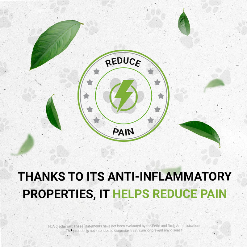 Wolf's Joints | Natural Herbal Dietary Supplement for Dogs | Healthy Joints Support in Dogs | Alcohol-Free Extract, Dandelion Root, Calendula, Chamomile, Lavender, Fennel 2 oz - PawsPlanet Australia